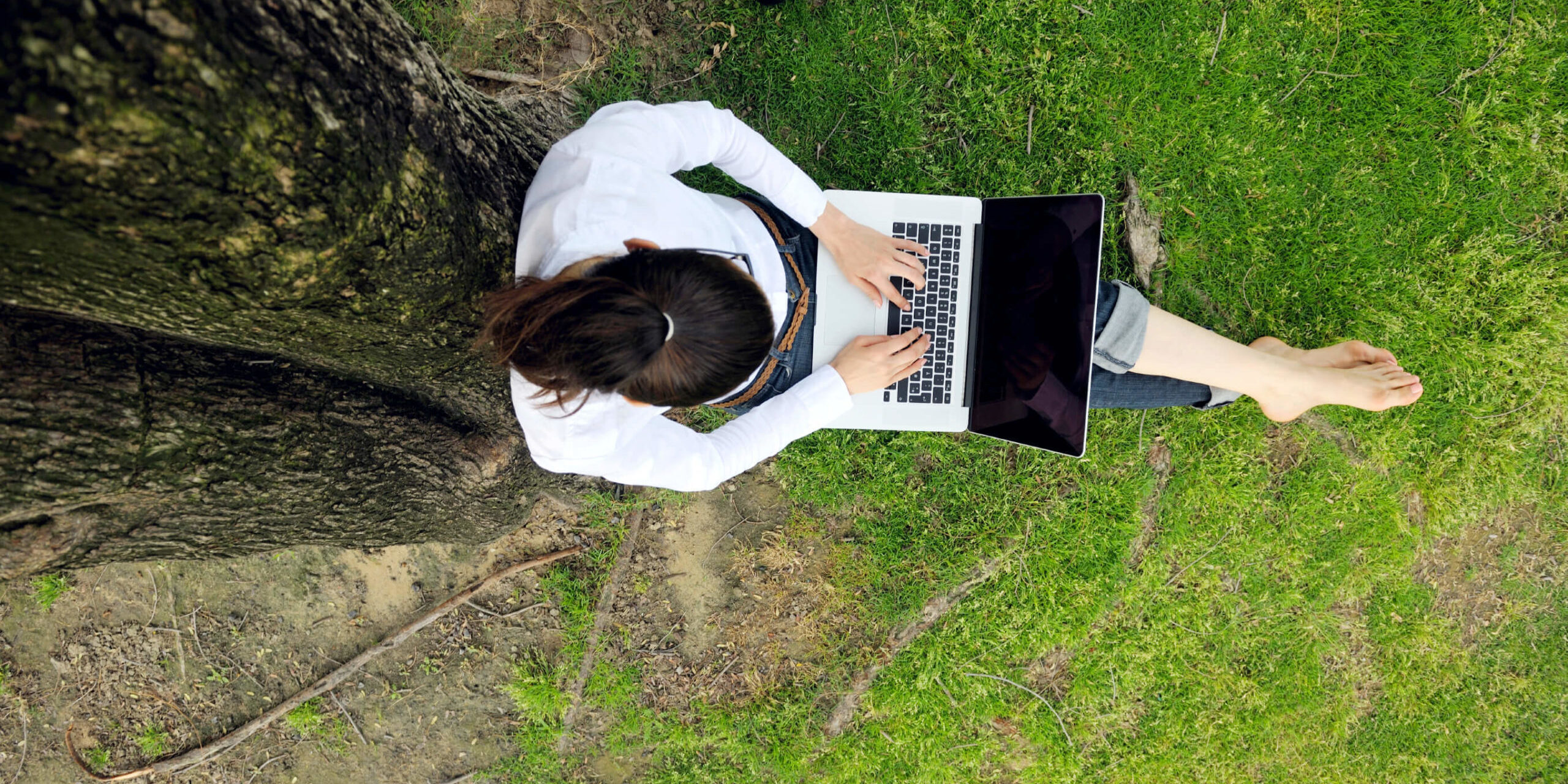 woman with laptop in park AAT Homework