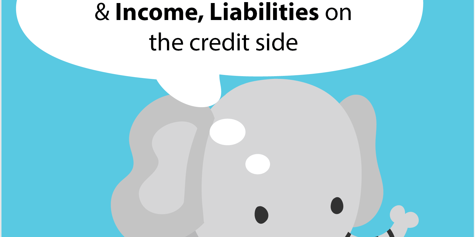 An Elephant is large (Debits and Credits)