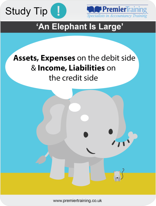 an_elephant_is_large An Elephant is large (Debits and Credits)