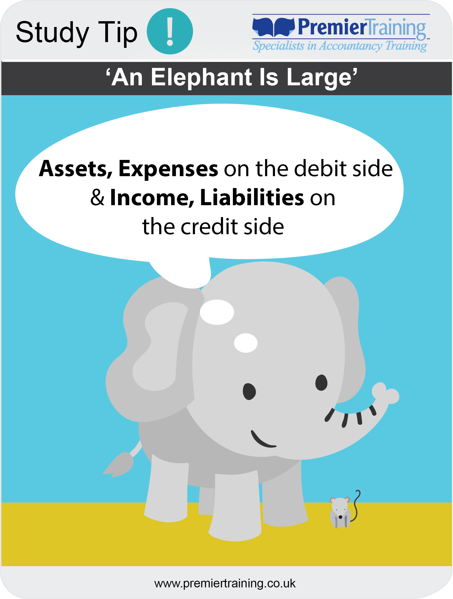 an_elephant_is_large An Elephant is large (Debits and Credits)